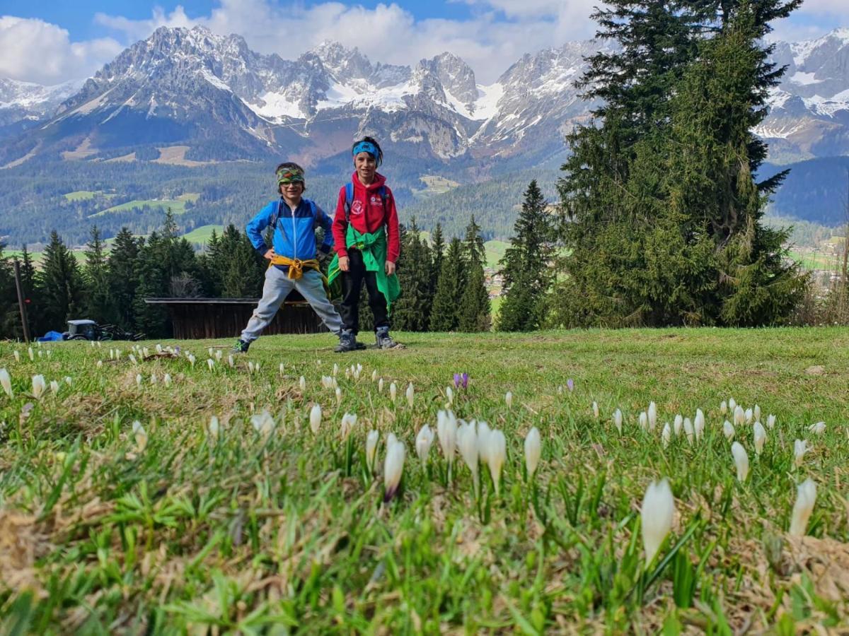 Appartement Haus Strobler Going am Wilden Kaiser